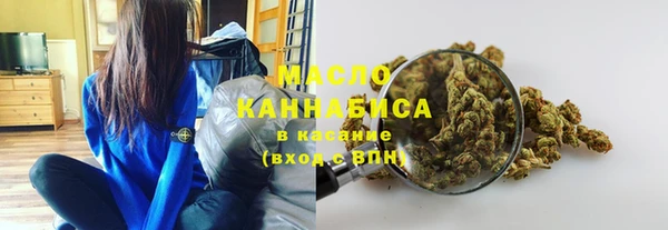 МДПВ Ельня