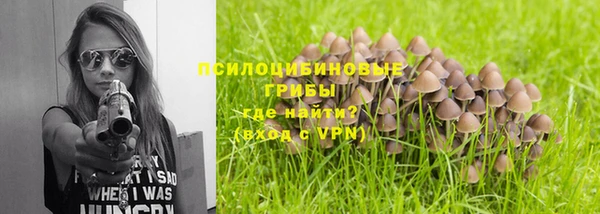 марки lsd Дмитриев