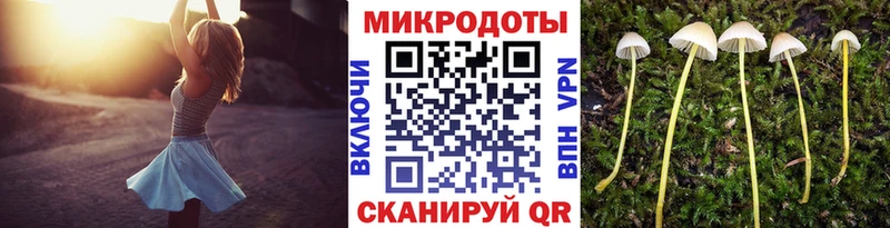 цены   Щигры  Галлюциногенные грибы мицелий 
